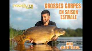 GROSSES CARPES EN SAISON ESTIVALE  AVEC JULIEN FILLEUL  PROELITEBAITS FRANCE 🇫🇷 [upl. by Aivata]