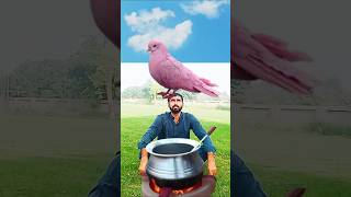 How to increase views Islamic vfx 110shortvideoshort shortsfeed youtubeshorts animals [upl. by Nniroc]