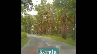 Kerala trip tamil malayalam godsowncountry travelvlog [upl. by Moyer555]