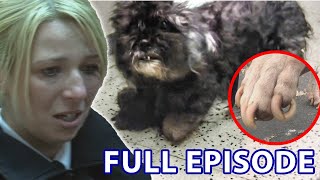 Starved amp Neglected Dogs Get Rescued From Hellish Conditions  The Dog Rescuers  Season 2 Episode 1 [upl. by Giffer]