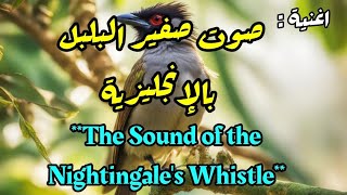 اغنية  صوت صفير البلبل  بالإنجليزية The Sound of the Nightingales Whistle [upl. by Annim]