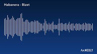 Bizet  Carmen ‘Habanera’ Remix [upl. by Preston]