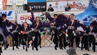 香川大学よさこい連風華 第71回よさこい祭り2024 高知城会場 811日 よさこい踊り [upl. by Javler]