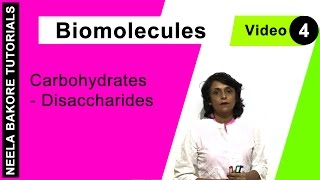 Biomolecules  NEET  Carbohydrates  Disaccharides  Neela Bakore Tutorials [upl. by Nikal]