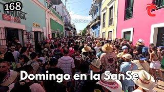 Último día de las fiestas de la calle San Sebastián 2024 [upl. by Boj]