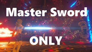 Zelda Breath of the Wild Master Mode Calamity Ganon with ONLY Master Sword NO DAMAGE [upl. by Siegfried319]