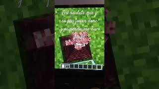 Encore dsl mes j ai pas d idée minecraft [upl. by Enelyad]