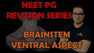 NEET PG BRAINSTEM VENTRAL ASPECT [upl. by Moffat]