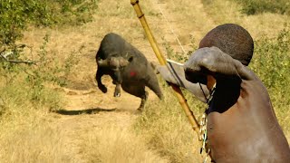 Hadzabe Bushmen A morning hunt with the [upl. by Killigrew]