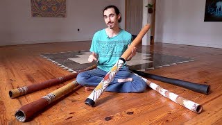 Comparing 5 Eucalyptus Didgeridoos all traditional Aboriginal Australian instruments [upl. by Howund]