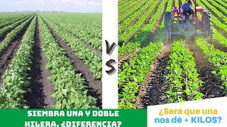 Siembra a UNA vs DOBLE hilera  ¿Cuál OTORGA MAYOR producción📈 [upl. by Artenak]