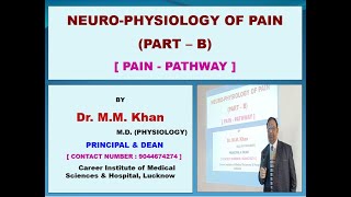 Nervous System9 Pain PhysiologyPartB Pain Pathway  Dr Muslim Khan [upl. by Gaelan]