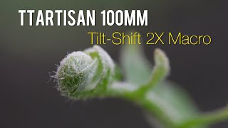 TTArtisan 100mm F28 2x Macro TiltShift Lens A GameChanger for Creative Photography [upl. by Hackett519]