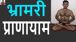 भ्रामरी प्राणायाम अद्भुत फायदे करने का सही तरीका  How to do Bhramari Pranayama in hindi [upl. by Seana]