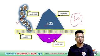 MECHANISM OF ACTION OF STREPTOMYCIN  PHARMACOLOGY [upl. by Ecarg]