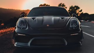 PURE SOUND of a Porsche Cayman 981  Titanium Exhaust raw sound Flyby [upl. by Ahsiam]