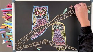 Lets Draw Some Owls ♫ 8 HOURS of Relaxing Chalk Art amp Music [upl. by Nivel]