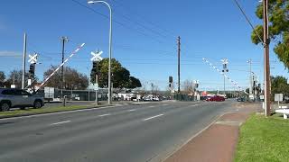 Morphett Road SA Level Crossing [upl. by Wiburg]