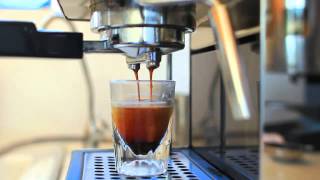 Gaggia Classic Espresso Extraction [upl. by Ramon31]