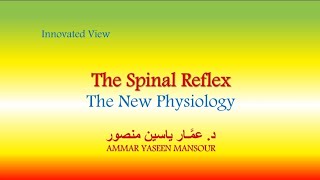 The Spinal Reflex The New Physiology [upl. by Connie]