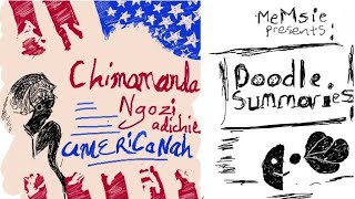 Americanah summary by Chimamanda Ngozi Adichie  African Literature  African Writers  Nigerian [upl. by Masha]