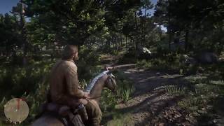 How To Use Auto Travel In Red Dead Redemption 2 Easy Quick Guide [upl. by Koziel55]