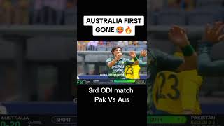 Naseem shah brilliant Ball😍 pakvsaus2024 pakvsaus cricket [upl. by Uzzial207]