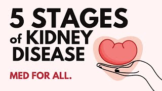 5 Stages of Kidney Disease I CKD I How to Prevent it [upl. by Placido423]