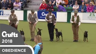 Obreedience  The Ratcatchers  Crufts 2018 [upl. by Trilbee561]