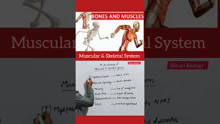 Disorders of the Muscular and skeletal system neet youtubeshorts biology shorts [upl. by Tierney]