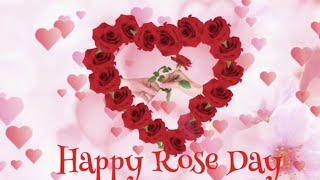 🌹Special Rose Day Status  Happy Rose Day Whatsapp Status Video  Valentines Day  Love ❤️ Heart ❤️ [upl. by Yssak722]