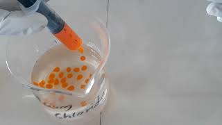 Sodium Alginate Beads by Gelation Method Surawase Sir LNJDP COP Manur [upl. by Elizabeth865]