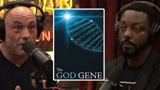 They Genetically Modified Humans With This Gene  Joe Rogan amp Billy Carson [upl. by Nahtnamas]