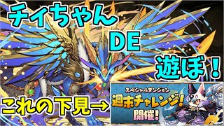 【表異形】チィリンドラゴン～これ実は結構雑な感じでも行けそうね～【パズドラ実況】 [upl. by Anahsal]