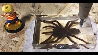 🕷️ Dissecting A Real Tarantula With A 60000 PSI Waterjet Biology Lesson 🕷️ Interesting [upl. by Sanfo888]