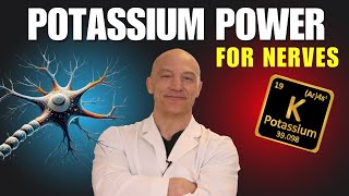 The Surprising Power of Potassium for Nerves  The Nerve Doctors [upl. by Marcelo18]