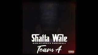 Shatta Wale  Team A SHATTA MUSIC Audio [upl. by Ennairej]