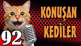 Konuşan Kediler 92  En Komik Kedi Videoları  Pati TV [upl. by Arteid]