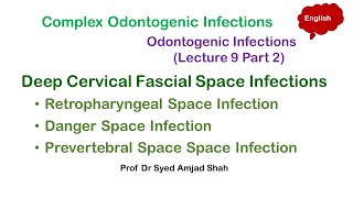 Retropharyngeal  Danger Prevertebral Space Infection  Deep Cervical Fascial Space Infections [upl. by Mcneely]