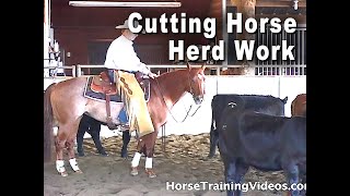 Cutting Horse Herd Work  Horse Training For Cutting Competition [upl. by Idner459]