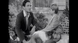 Lassie  Episode 21  quotBlind Soldierquot Originally broadcast 01301955 [upl. by Melamie76]