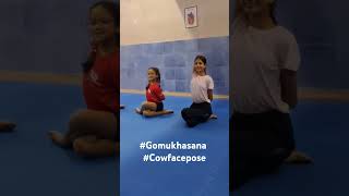 How to do gomukh advanceyoga gomukhasana cowpose jkgyoga yogaforwellnessbyap youtubeshorts [upl. by Ynnoj343]