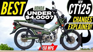 NEW Honda Trail 125 Review  CT125  Better than Grom Monkey amp Super Cub Motorcycles [upl. by Ellinnet]