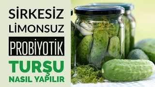 Probiyotik Turşu Nasıl Yapılır  Sirkesiz Limonsuz Pratik Kıtır Turşu Tarifi [upl. by Animahs]