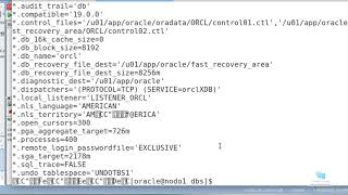 49Curso de Administración de Oracle 19c Crear initora desde Spfile [upl. by Caffrey]