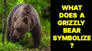 WHAT DOES A GRIZZLY BEAR SYMBOLIZE [upl. by Laehcimaj343]