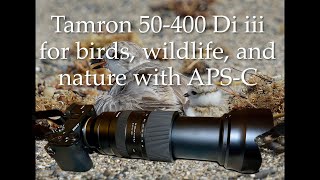 One Fine Lens Tamron 50400 Di iii zoom for bird wildlife and nature photography with APSC [upl. by Yrhcaz]