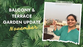 November mein yeh sab lagaya hai balcony aur terrace par  Terrace and Balcony Update [upl. by Basil679]