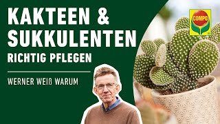 Kakteen und Sukkulenten richtig pflegen [upl. by Ominoreg]