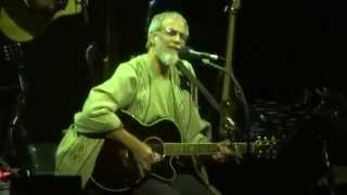 Cat StevensYusuf Islam  Morning Has Broken Live Movistar Arena Chile 28112013 [upl. by Alexandra]